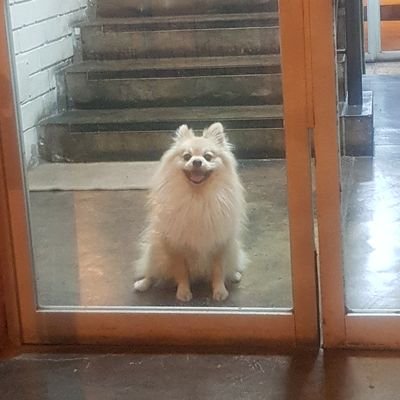 pyvid's profile picture. Linux ❤️ 

Python & Rust ❤️ .