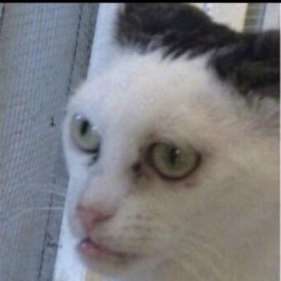 STREAMER / VARIETY / RANKED  67.99 DM FEE