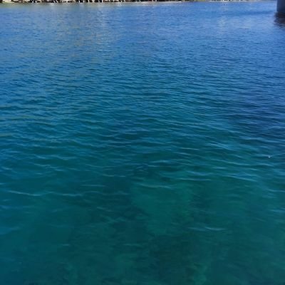 GhislaineBONNET's profile picture. 