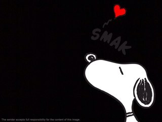 copernicok's profile picture. 