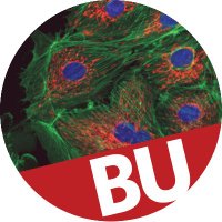 Biological Design Center, Boston University (@biodesigncenter) 's Twitter Profile