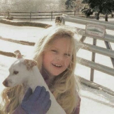 ProjetoSwiftmas's profile picture. Projeto criado com o objetivo de aumentar streams nas músicas natalinas de Taylor Swift. 🎄