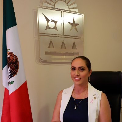 Secretaria Técnica de la Secretaria Ejecutiva del Sistema Anticorrupción del Estado de Quintana Roo.
Maestrante en Administración Pública.