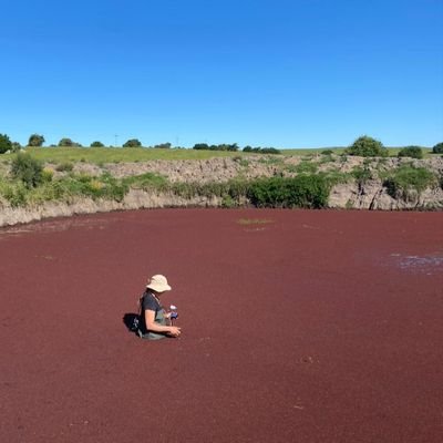SosaPanzera's profile picture. PhD. Student | Freshwater Ecology 🌱Centro Universitario Regional del Este (CURE), Universidad de la República (UdelaR) 🇺🇾