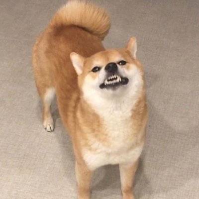Daniさんのプロフィール画像