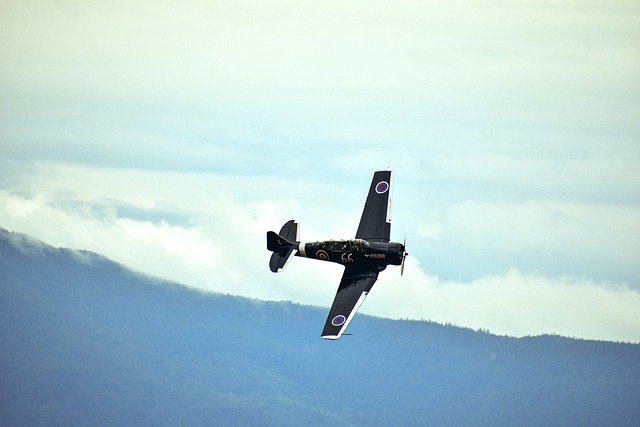 jocelyn_ju53931's profile picture. 