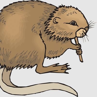 The1stMuskrat Profile Picture
