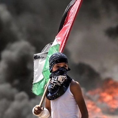 sat21st's profile picture. NIS | #FREEPALESTINE