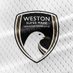 Weston-super-Mare AFC Women (@WsMAFCWomen1) Twitter profile photo