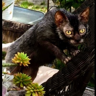 Prock514's profile picture. 