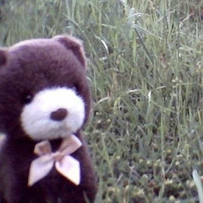 wwwaycom's profile picture. 