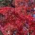 穂志乃愛莉🌸保護司🌸ラフェリーチェ代表🌸虐待を受けた子どもの居場所・学習支援🌺シェルター運営 (@kaimam2020) Twitter profile photo 穂志乃愛莉🌸保護司🌸ラフェリーチェ代表🌸虐待を受けた子どもの居場所・学習支援🌺シェルター運営 (@kaimam2020) Twitter profile photo
