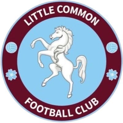 Little Common 2nds Profile