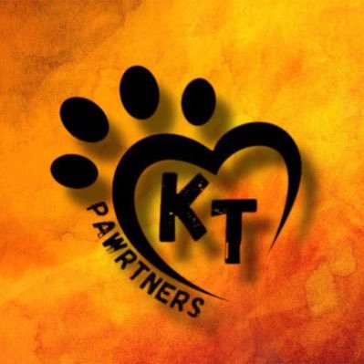 An Unofficial FANBASE of #KENTIN 🐾 • @ktpteamm