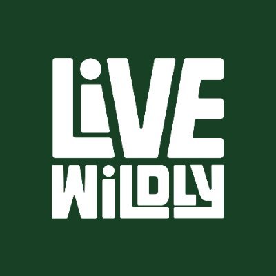 Connecting to Wild Florida.
🐊 Escape, explore, unleash, #LiveWildlyFL