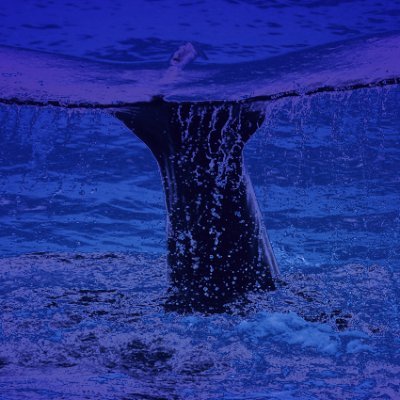 cXWc2zEgD935876's profile picture. 