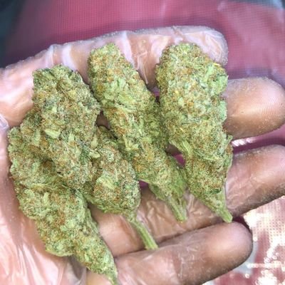 Salut je vend de la weed CALIfornienne 50€=4G et du shite mousseux 50€=8G sur Paris et sa banlieue (assez rapide)
Me contacter sur Whatsapp au: 07.80.84.55.23