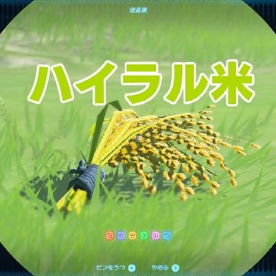 三度の飯よりゼルダ好き、ハイラル米です。     大学の部室に置いてあったGC版時オカを始めたよ    無言フォロー失礼します