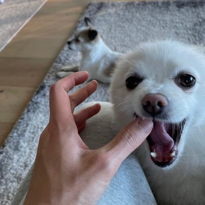 jugikkka's profile picture. 