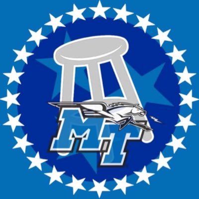 Direct affiliate with @BarstoolSports|Not affiliated with MTSU|#TrueBlue|Submissions via DMs,always open to anything