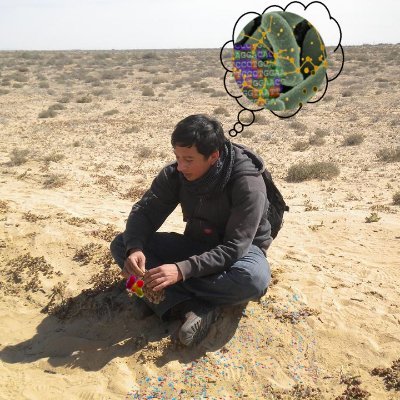 Microbiology, desert, ecology and bioinformatics