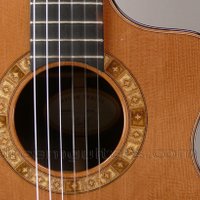 Taylor Guitar ID (@taylorguitarid) 's Twitter Profile