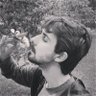 jose_richit's profile picture. Plant Biologist 🇧🇷
Trying to learn to play harmonica