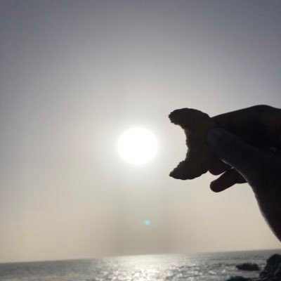 Roseebessa's profile picture. Étudiante en traduction, passionnée d’art, mode et photographie