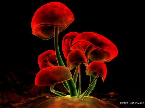 inspistudio's profile picture. Collections of inspirational and motivational videos, stories, quotes, thoughts and lots more...