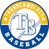 TwolvesBase's profile picture. EXCELLENCE I COMMITMENT I COMMUNITY  @TWolvesScout l Powered by @sluggernation