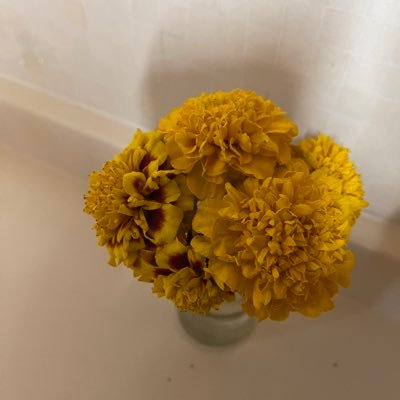 Stinky_aff's profile picture. 備忘録 人生は小説より奇なり