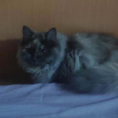 Henry_000020's profile picture. 