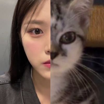 namorobabymetal's profile picture. eu nao existo