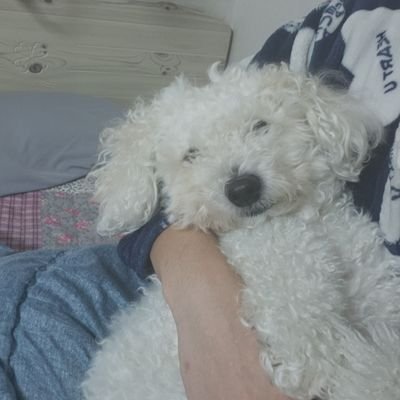 sinhwan96's profile picture. 