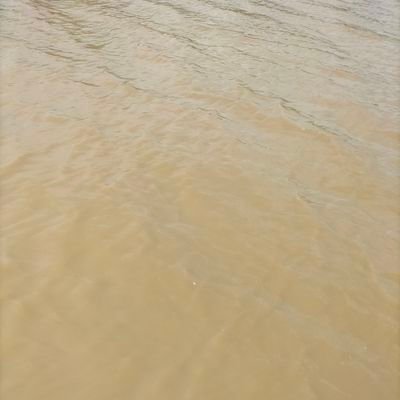 TmHunh35000198's profile picture. 