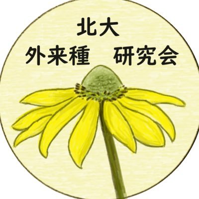 HU_isclub's profile picture. 外来の植物・動物について調査・発表を行う北大非公認サークルです🌼 定期的に外来植物観察会を行います☘️🦞🦝質問箱📦→https://t.co/73EbFvUFuh