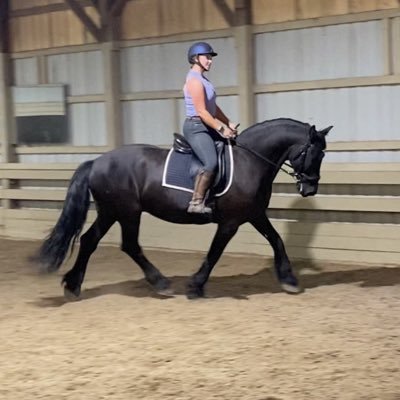 KAL Dressage • Professional based out of Middlesex/Worcester County • 9/16/2017