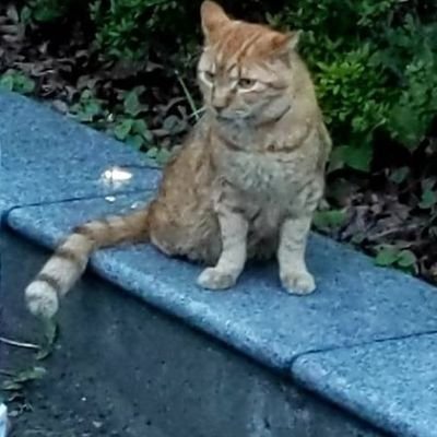 rj505i_xyx's profile picture. 有料級の情報を発信しています。
どんどんフォローすると良いよ。
