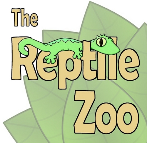 Reptile Zoo (@reptilezoouk) | Twitter