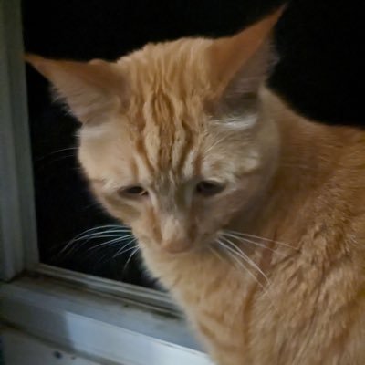 BodyWithOrganz's profile picture. 