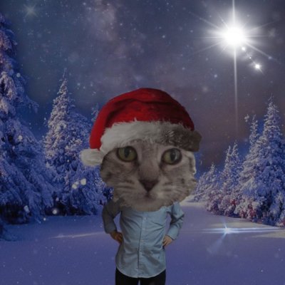 mattkg's profile picture. Life is hard. You have to change.