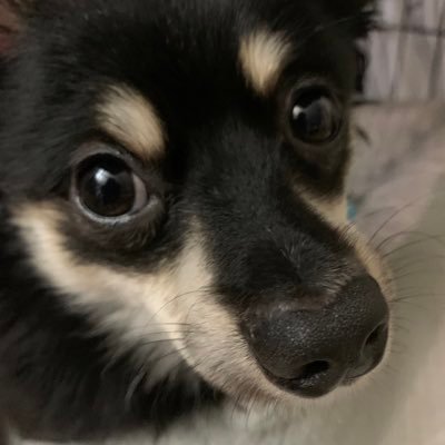 bot_box78's profile picture. 