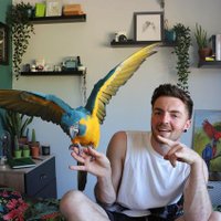 Andrew Matthew (@petsellerstore) Twitter profile photo