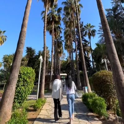 MaplePep's profile picture. 