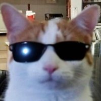 nobody (@_kysa99) 's Twitter Profile