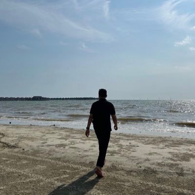 jasapip's profile picture. ISFJ-T