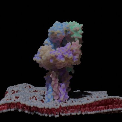 🔬 Explore protein wonders with The Biomarker Discovery Hub! 3D molecular visuals, educational insights, aiding cancer research. Join us & support the cause! #B