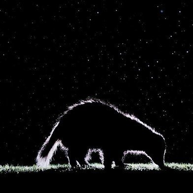 lung93562333320's profile picture. my BTC lightning adress:
supernovaheartwarming672510@getalby.com

nostr adress
npub12psk08y2vawefty6wgkrv6z635j9deu6kr62xzkklwu7wxytmzvq9sh39w