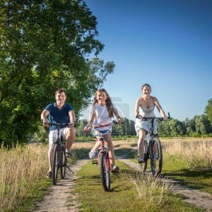 HaigTommy37495's profile picture. 