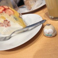 しゃけ🐟@固ツイお読みください (@ubaa0edvcdicmf2) 's Twitter Profile